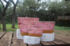 Live Oak Pouch - Summer Bloom